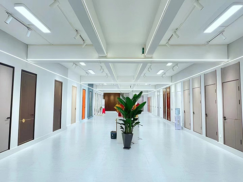 interior door show room