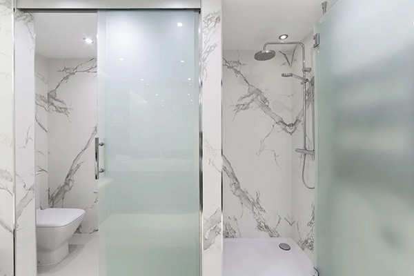 glass sliding bathroom door and swing shower door