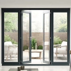 Aluminum Glass French Door