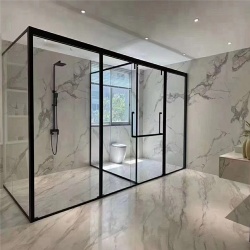 Bathroom Glass Partition and Door