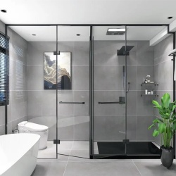 Bathroom Glass Partition to Divide Toilet and Shower Room
