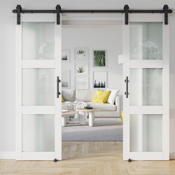 Double Barn Door for Wide Wall Opening