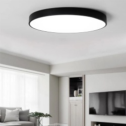 Flush Mount LED Ceiling Light