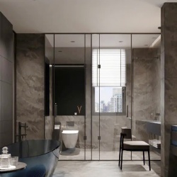 Glass Wall Partition and Pivot Door in Hotel Bathroom