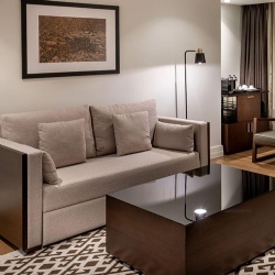 Gray Guest Room Sofa