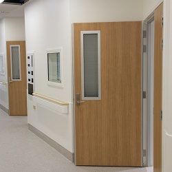 Hospital Interior Wood Door