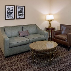 Hotel sleeper sofa and granite table tops