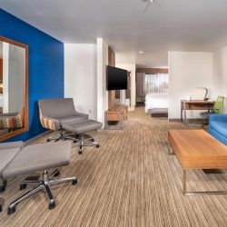 Lounge Chair and Sofa for Holiday Inn Express Hotel Projects
