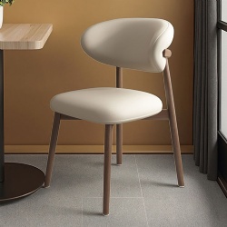Nordic Modern Home Dining Chair Light Luxury Metal Cafe Chair with Simple Backrest for Home Hotel Use Designed for Dining Table