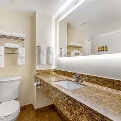 Prefabricated Granite Countertops for Hotel Renovation