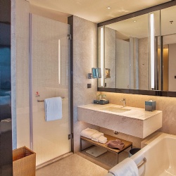 Shower Enclosure and Bath Vanities in Hotel Room