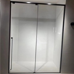 Slim Framed Glass Shower Door