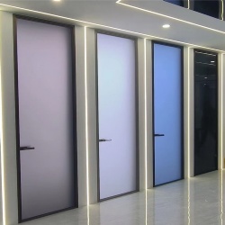 Swing Glass Door with Various Tinted Glazing Option